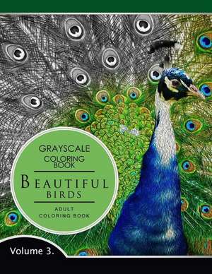 Beautiful Birds Volume 3 de Grayscale Fantasy Publishing