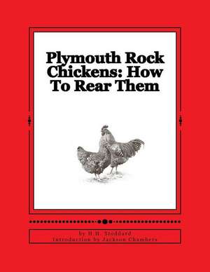 Plymouth Rock Chickens de H. H. Stoddard