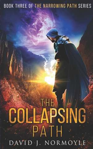 The Collapsing Path de MR David J. Normoyle