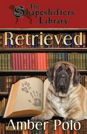 Retrieved de Amber Polo