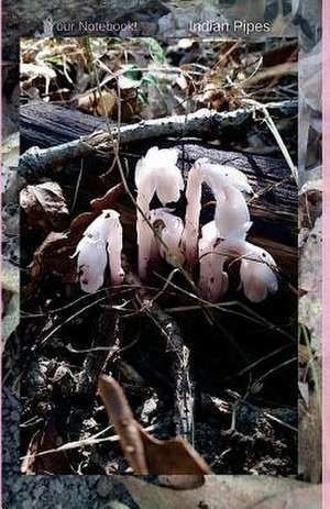 Your Notebook! Indian Pipes de Mary Hirose