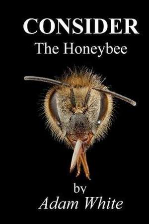 Consider the Honeybee de Adam White