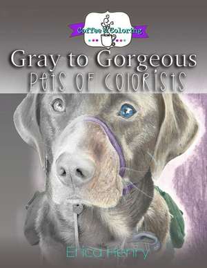 Gray to Gorgeous de Erica Henry