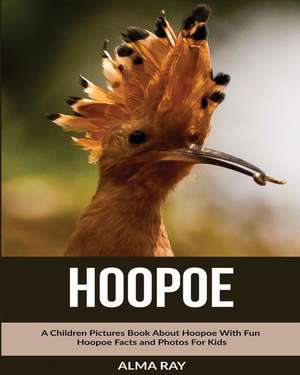 Hoopoe de Alma Ray