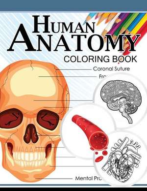 Human Anatomy Coloring Book de Dr Michael D. Clark