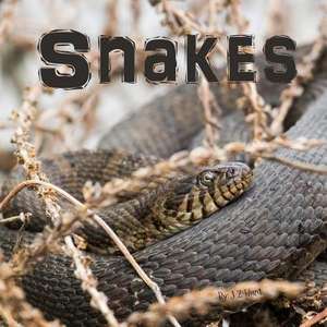 Snakes de Hunt, J. Z.