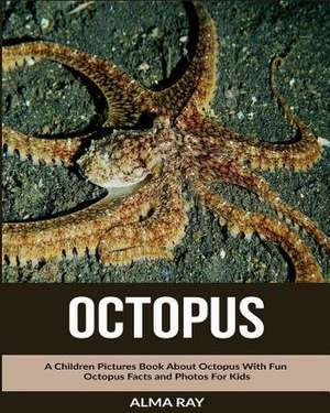 Octopus de Alma Ray