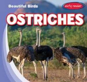 Ostriches de Bray Jacobson