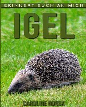Igel de Caroline Norsk
