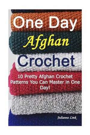 One Day Afghan Crochet de Julianne Link