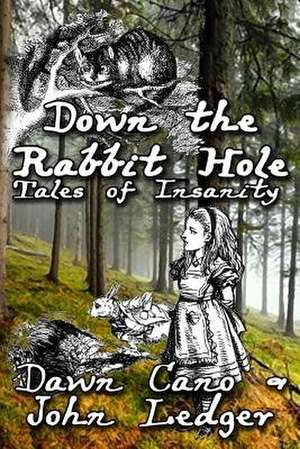 Down the Rabbit Hole de Dawn Cano