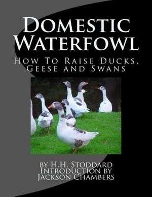 Domestic Waterfowl de H. H. Stoddard