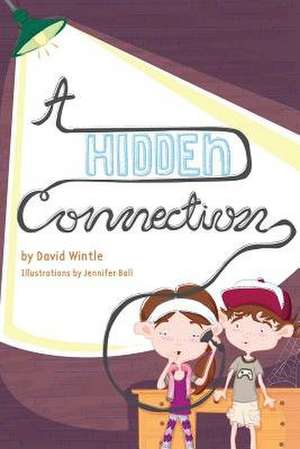 A Hidden Connection de Wintle, David a.