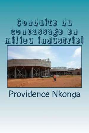 Conduite Du Concassage En Milieu Industriel de Nkonga, Providence Bantu Mwita