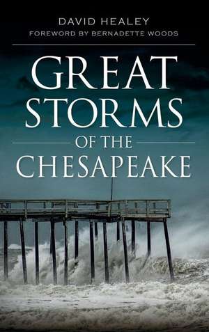 Great Storms of the Chesapeake de David Healey