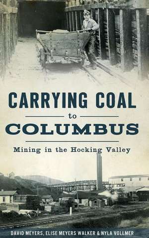 Carrying Coal to Columbus de David Meyers