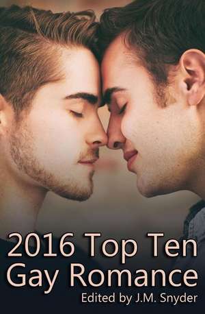 2016 Top Ten Gay Romance de J. M. Snyder