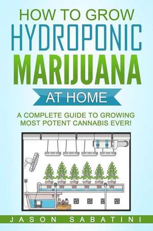 How to Grow Hydroponic Marijuana at Home de Sabatini, Jason