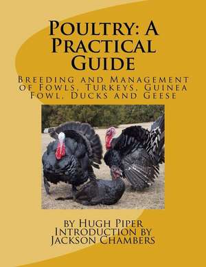 Poultry de Hugh Piper