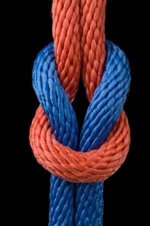 Love Knot Journal de Cool Image