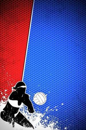 Volleyball Sports Journal Three de Cool Image