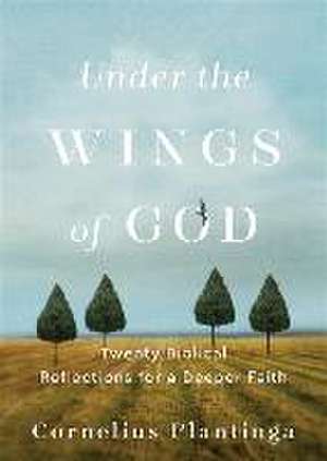 Under the Wings of God – Twenty Biblical Reflections for a Deeper Faith de Cornelius Plantinga