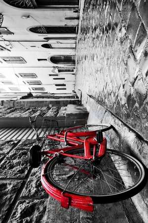 Vintage Red Bicycle on Cobblestone Street in Old Town Journal de Cool Image