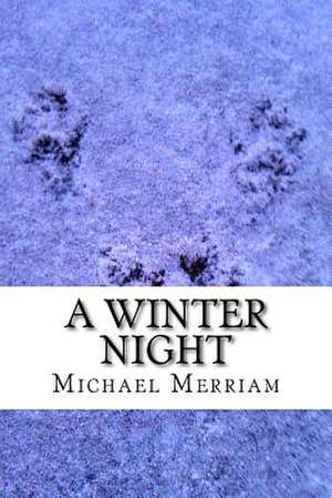 A Winter Night de Michael Merriam