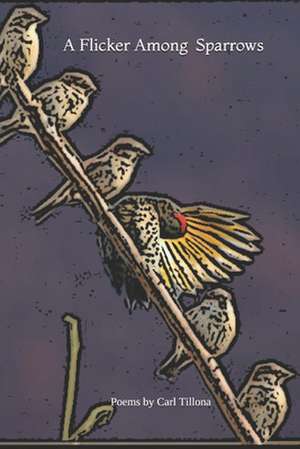 A Flicker Among Sparrows de Tillona, Carl S.