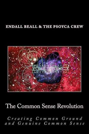 The Common Sense Revolution de Endall Beall