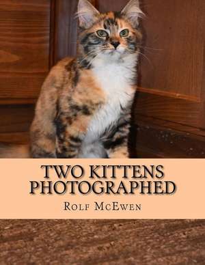 Two Kittens Photographed de Rolf McEwen