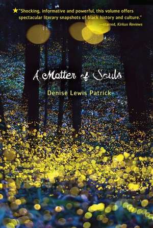 A Matter of Souls de Denise Lewis Patrick