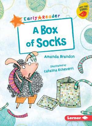 A Box of Socks de Amanda Brandon