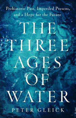 The Three Ages of Water de Peter Gleick