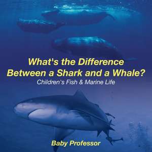 What's the Difference Between a Shark and a Whale? | Children's Fish & Marine Life de Baby