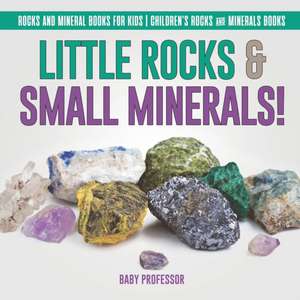 Little Rocks & Small Minerals! | Rocks And Mineral Books for Kids | Children's Rocks & Minerals Books de Baby