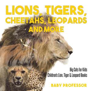 Lions, Tigers, Cheetahs, Leopards and More | Big Cats for Kids | Children's Lion, Tiger & Leopard Books de Baby