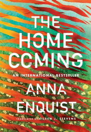 Homecoming de Anna Enquist