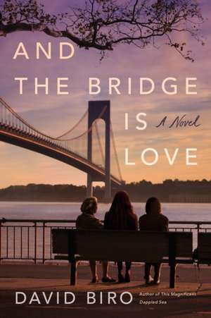 And the Bridge Is Love de David Biro