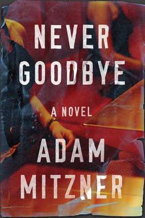 Never Goodbye de Adam Mitzner