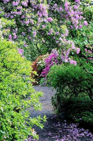 An Enchanted Path Through Flowers Crystal Springs Garden Portland Oregon Journal de Cs Creations