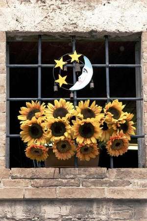 Happy Yellow Sunflowers, the Moon and Stars Decorate a Window in Italy Journal de Cs Creations