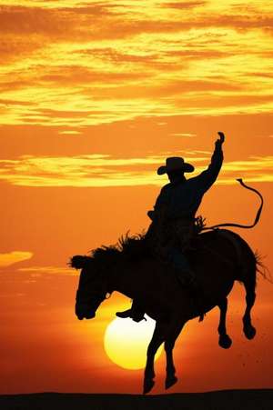 A Cowboy Riding a Bucking Bronco Silhouetted Against the Sunset Journal de Cs Creations