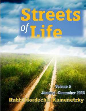 Streets of Life Collection Vol. 6 - 2016 de Kamenetzky, Mordechai