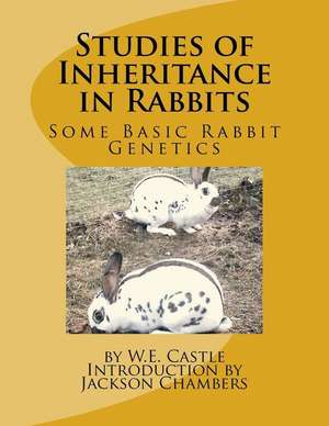 Studies of Inheritance in Rabbits de W. E. Castle