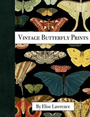 Vintage Butterfly Prints de Lawrence, Elise