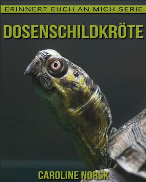 Dosenschildkrote de Caroline Norsk