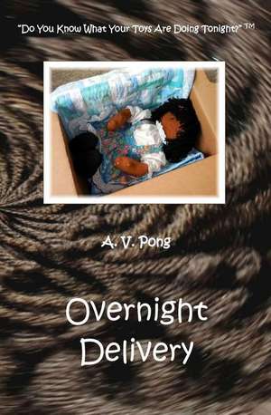 Overnight Delivery de Pong, A. V.