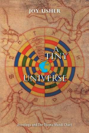 A Tiny Universe de Joy Usher