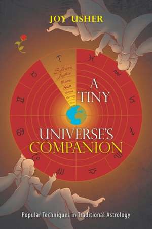 A Tiny Universe'S Companion de Joy Usher